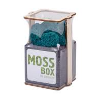 Набор с живым мхом MossBox black moray cube - Набор с живым мхом MossBox black moray cube