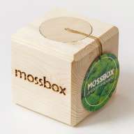 Набор с живым мхом MossBox Wooden Green Cube - Набор с живым мхом MossBox Wooden Green Cube